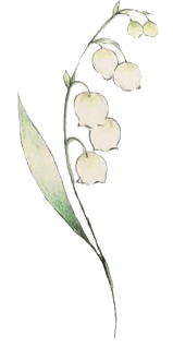 スズランの花