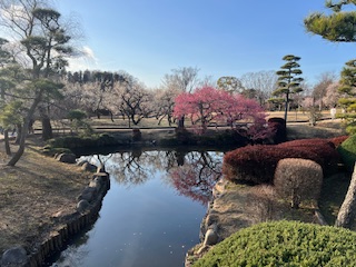 偕楽園の庭